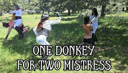 ONE DONKEY FOR TWO MISTRESS