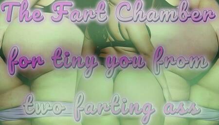 The Fart Chamber for tiny you from two farting ass (fart sound) 25 min