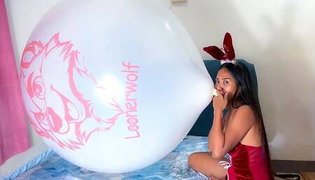 Looner Camylle Blows To Pop Huge Looner Wolf Balloon