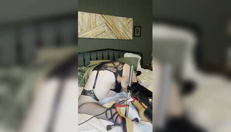 Getting Fucked Doggystyle with My New Fuck Machine