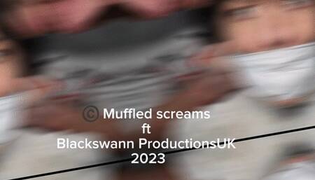 Leather and tripple gagged handkerchiefs - Blackswann and Muffled Screams