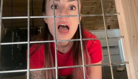 Cage of shame and stench wmv