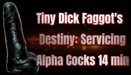 Tiny Dick Faggot's Destiny: Servicing Alpha Cocks 14 min