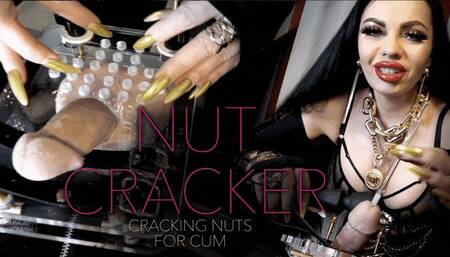 CBT NUT CRACKER – Cracking Your Nuts For Cum