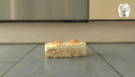 Piece of Cake floor view