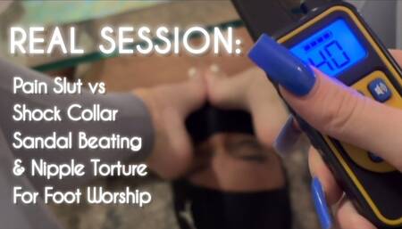 Real Session: Pain Slut VS Shock Collar, Sandal Beating & Nipple Play for Foot Worship
