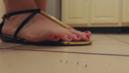 The giantess exterminate pest