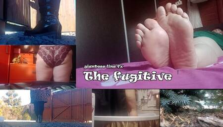 The fugitive