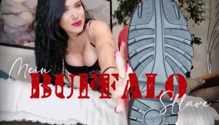 JOI: Mein Buffalo-Sklave