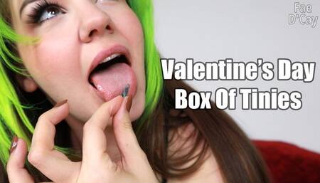 Valentine's Day Box Of Tinies