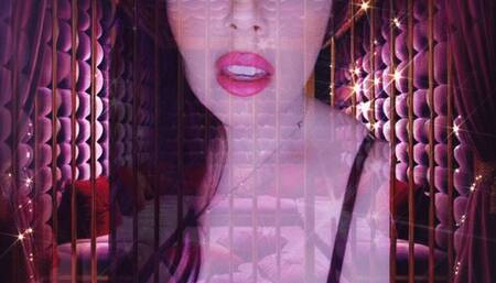 The Velvet Prison - Locked inside your subconscious, imprisoned in servitude