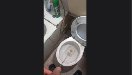 toilet pee