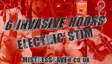 [982] 6 Invasive Hooks Electric Stim