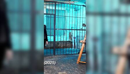 Nightguards of the Femdom Jail: Otk & Mouthsoaping