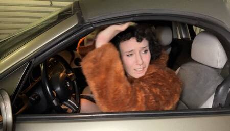 Allison in a naked felony traffic stop arrest