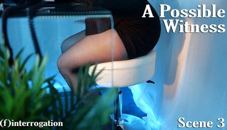 A Possible Witness: Scene 3 (4K) Finterrogation - Obey Lady Ashley - femdom findom blackmail pantyhose upskirt