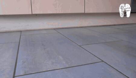 Breakfast cereal preparation