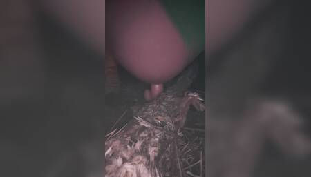 Self Fucked