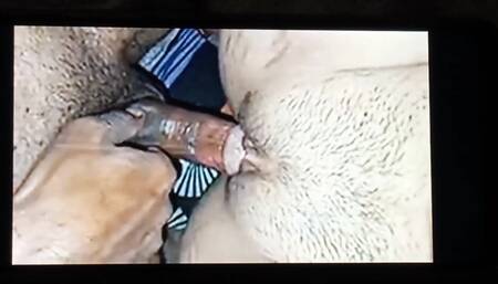 Sex Video