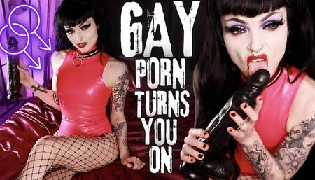 Gay Porn Turns You On