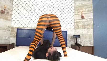 HOT FACE SITTING WITH BRUNETTE GODDESS part 2 BY PIETRA HUNTER AND DANIEL SANTIAGO CAM BY ALINE FULL HD