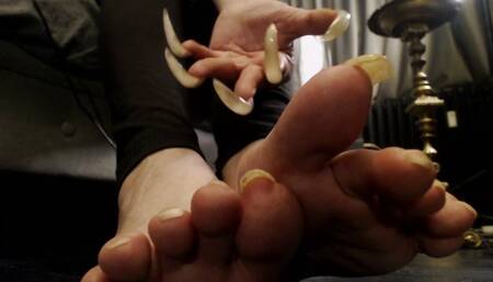 suck and lick my toenails