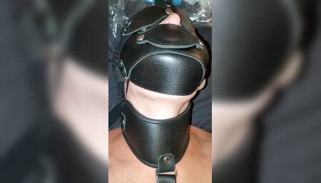 Anal in Leather Harness