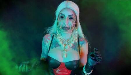 The Sacrificial Cradle: Hatching a New Generation of Spiderlings - GENDER TRANSFORMATION