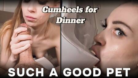 Good Pet Sucks Dick And Eats Cum From Stripper Heels [HD WMV]