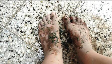 Dirty feet with earth and yerba mate