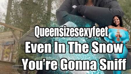 Even In The Snow You’re Gonna Sniff These Stink Feet