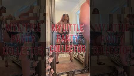 My Little Panty Collector