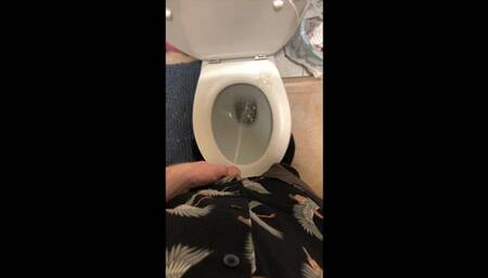 Hunter Bradley Piss POV Compilation - PEE, PISSING, WATERSPORTS