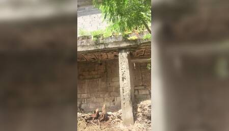 Cleaning the Back of My House, My New Project to Share with You