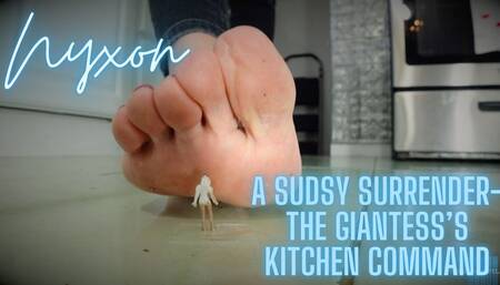 Nyxon A Sudsy Surrender- The Giantess's Kitchen Command 720p MP4