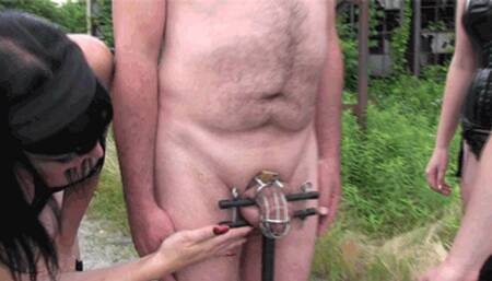 Lock, Stock, And Torment The Cock (1080p)