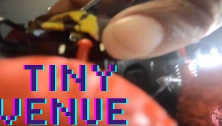 Giantess Crew – CJ Tiny Venue