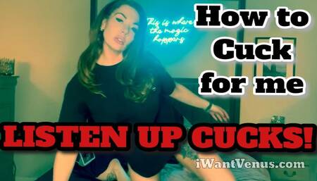 Cuck Rules: Earn your Place - Mistress Kayla