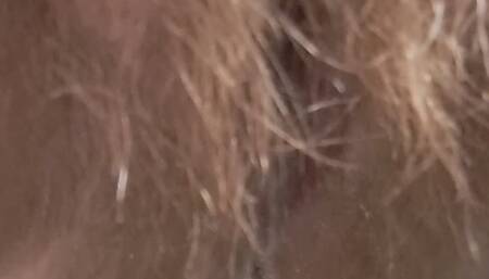 Hairy pissy pussy