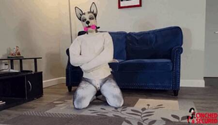 MinxGrrl - Bad PupGirl Gets Straitjacket and Gag! (MP4 Format)