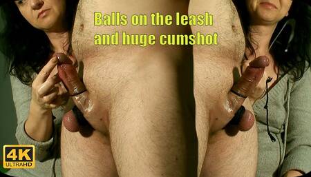 779 - Tied balls and ruined orgasm 1080p 60fps