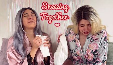 Sneezing Together - Sneezing Attack Compilation