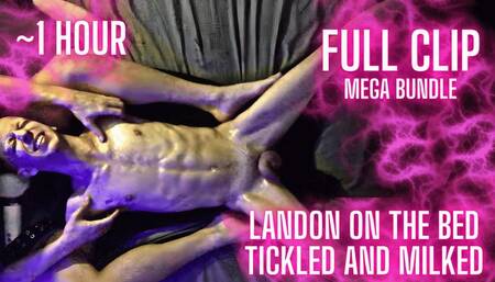 Landon Spread-Eagle and Tickled (FULL MEGA-BUNDLE)