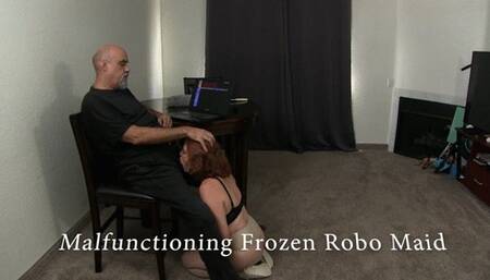 The Malfunctioning Frozen Robo maid 2