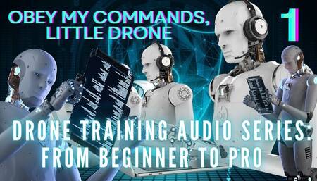 The NLP toolbox: Drone Training Audio Series From Beginner to Pro - Obey My Commands, Little Drone