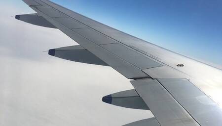 sofio sharangia test