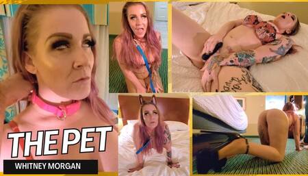 Whitney Morgan :Pet