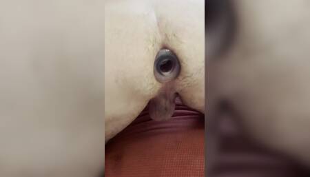 Butt Plug in Grandpa