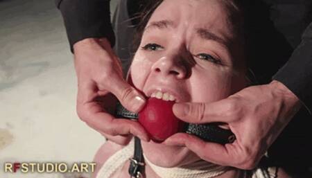 Arina - Long Tight Bondage and Gag Session in Lingerie Before the Mirror (FULL HD MP4)