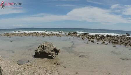 Quick Squirt at Public Place, Lionrynn FPOV POV